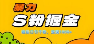 单人单机日引千粉,变现1k+,S粉流量掘金计划攻略【揭秘】-晟哥学社资源库