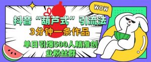 抖音葫芦式引流法，三分钟一条作品，单日引爆抖音500人精准创业粉丝群【揭秘】-晟哥学社资源库