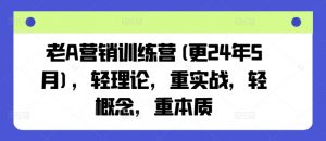 老A营销训练营(更24年10月),轻理论,重实战,轻概念,重本质-晟哥学社资源库