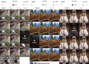 狗熊岭快手连怼技术，好物，涨粉都可以连怼-晟哥学社资源库