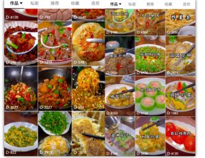 抖音带货美食领域课程,无需真人实拍仅靠剪辑实现涨粉-晟哥学社资源库