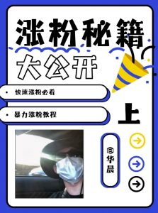 最新AI美女玩法，颜值暴力涨粉教程，涨粉秘籍大公开-晟哥学社资源库