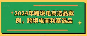 2024年跨境电商选品案例，跨境电商利基选品（更新11月）-晟哥学社资源库