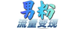 男粉流量+网盘拉新变现，轻松一天3-5张，0基础可学，白嫖来-晟哥学社资源库