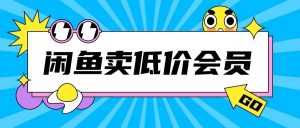 外面收费998的闲鱼低价充值会员搬砖玩法号称日入200+-晟哥学社资源库