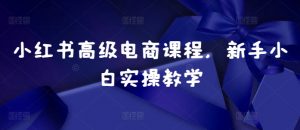小红书高级电商课程，新手小白实操教学-晟哥学社资源库