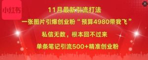 小红书11月最新图片打粉,一张图片引爆创业粉,“预算4980带我飞”,单条引流500+精准创业粉-晟哥学社资源库
