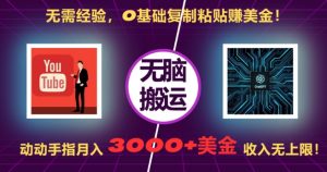 无需经验，0基础复制粘贴赚美刀，动动手指，月入3000+刀，无上限【揭秘】-晟哥学社资源库