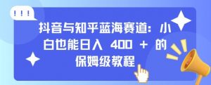 抖音与知乎蓝海赛道:小白也能日入 4张 的保姆级教程-晟哥学社资源库