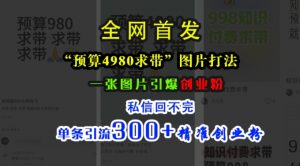 小红书“预算4980带我飞”图片打法，一张图片引爆创业粉，私信回不完，单条引流300+精准创业粉-晟哥学社资源库