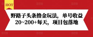 野路子头条撸金玩法,单号收益20~200+每天,项目包落地-晟哥学社资源库