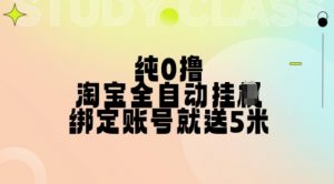 纯0撸,淘宝全自动挂JI,授权登录就得5米,多号多赚【揭秘】-晟哥学社资源库
