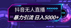 抖音快手视频号全平台通用无人直播引流法,利用图片模板和语音话术,暴力日引流100+创业粉【揭秘】-晟哥学社资源库
