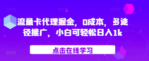流量卡代理掘金，0成本，多途径推广，小白可轻松日入1k-晟哥学社资源库