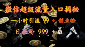 微信超级流量入口揭秘:一小时引流 99 + 创业粉,日涨粉 999 +-晟哥学社资源库