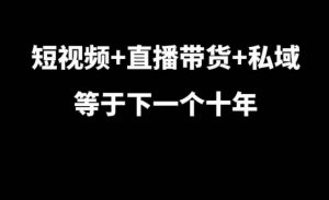 短视频+直播带货+私域等于下一个十年,大佬7年实战经验总结-晟哥学社资源库
