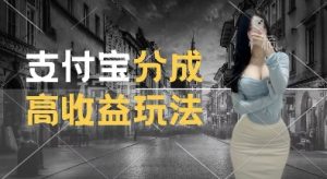 支付宝分成计划新玩法，利用交通事故视频，赚收益，轻松月入过W，操作简单【揭秘】-晟哥学社资源库