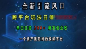 全新引流风口，跨平台玩法日入上k，单日狂揽200+精准创业粉，一个被严重忽略的视频平台-晟哥学社资源库