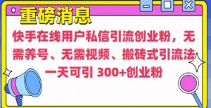 快手最新引流创业粉方法，无需养号、无需视频、搬砖式引流法【揭秘】-晟哥学社资源库