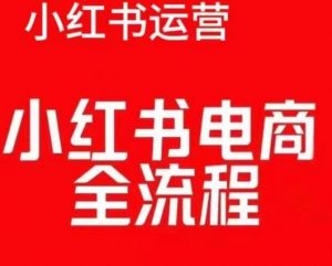 红薯电商实操课,小红书电商全流程-晟哥学社资源库