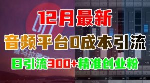 12月最新：音频平台0成本引流，日引流300+精准创业粉-晟哥学社资源库
