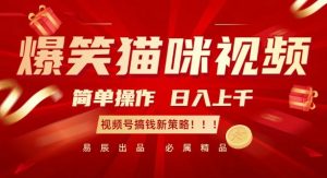 爆笑猫咪视频:简单操作,日入过K,视频号搞钱新策略【揭秘】-晟哥学社资源库