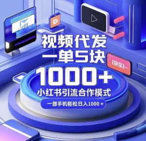 视频代发,一单5块,小红书引流合作模式,一部手机轻松日入多张【揭秘】-晟哥学社资源库