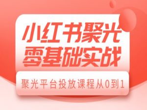小红书聚光零基础实战，聚光平台投放课程从0到1-晟哥学社资源库