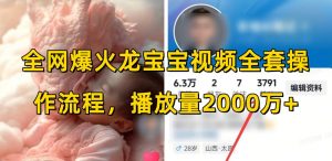 全网爆火龙宝宝视频全套操作流程,播放量2000万+-晟哥学社资源库