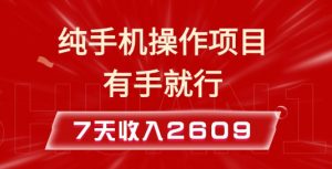 纯手机操作的小项目，有手就能做，7天收入2609+实操教程【揭秘】-晟哥学社资源库