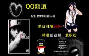 QQ频道：被低估的流量巨兽，单日引爆500+精准创业粉、兼职粉的引流秘籍-晟哥学社资源库