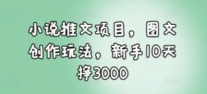 小说推文项目,图文创作玩法,新手10天挣3000-晟哥学社资源库