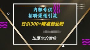 内部招聘渠道日引流300+创业粉,加爆你的微信【揭秘】-晟哥学社资源库