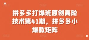 拼多多打爆班原创高阶技术第41期,拼多多小爆款矩阵-晟哥学社资源库