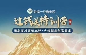 剽悍一只猫-过钱关特训营,学习营销真经 大幅度提高创富效率-晟哥学社资源库