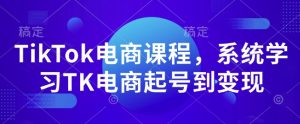 TikTok电商课程，​系统学习TK电商起号到变现-晟哥学社资源库