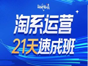 淘系运营21天速成班35期,年前最后一波和2025方向-晟哥学社资源库