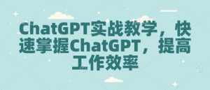 ChatGPT实战教学,快速掌握ChatGPT,提高工作效率-晟哥学社资源库
