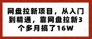 网盘拉新项目,从入门到精通,靠网盘拉新3个多月搞了16W-晟哥学社资源库