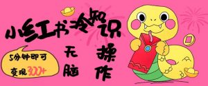 小红书冷知识账号，无脑复制粘贴，5分钟即可变现3张-晟哥学社资源库