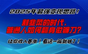 2025年最强变现思路，割韭菜的时代， 普通人如何翻身做镰刀？【揭秘】-晟哥学社资源库