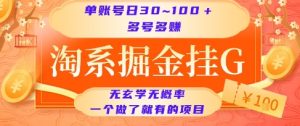 淘系掘金挂G项目,单账号日收益30~100+,多号多得,一个做了就有的项目【揭秘】-晟哥学社资源库