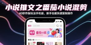 小说推文之番茄小说混剪40秒炸裂玩法手机版，新手也能快速复制操作-晟哥学社资源库
