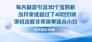 每天稳定引流30个人 当月变成超过了4个W项目流程非常简单适合小白-晟哥学社资源库
