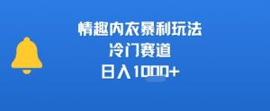 情趣内衣暴利玩法,冷门赛道,日入1k+-晟哥学社资源库