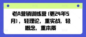 老A营销训练营(更25年7月),轻理论,重实战,轻概念,重本质-晟哥学社资源库
