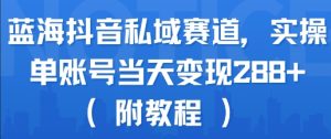 蓝海抖音私域赛道,实操单账号当天变现288+(附教程)-晟哥学社资源库