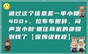 通过这个信息差一单小挣4张+,拉布布搬砖,闷声发小财抓住商机的都挣到钱了【保姆级教程】-晟哥学社资源库