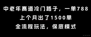中老年赛道冷门路子,一单788,上个月出了1500单,全流程玩法,保底模式【揭秘】-晟哥学社资源库